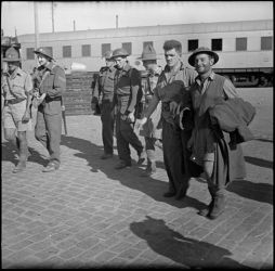Ref: DA-01170-F
Unidentified World War II New Zealand troops arriving in Alexandria in June 1941, after the evacuation from Crete. Taken by an official photographer.
Quantity: 1 b&w original negative(s).