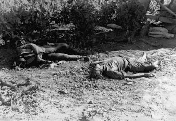 Date: 1941 By: Goodall, (Corporal), active 1941
Ref: DA-12685-F
Dead German paratroopers, Crete, 1941, photographed by Lance-Corporal Goodall. Dead German Paratrooperss - Crete. 1941